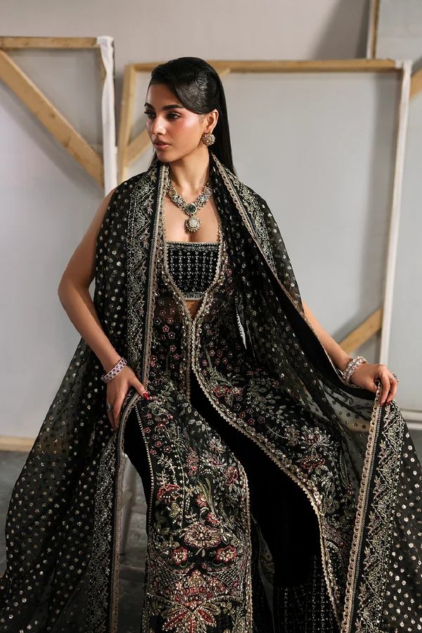 SORREL - Image 4