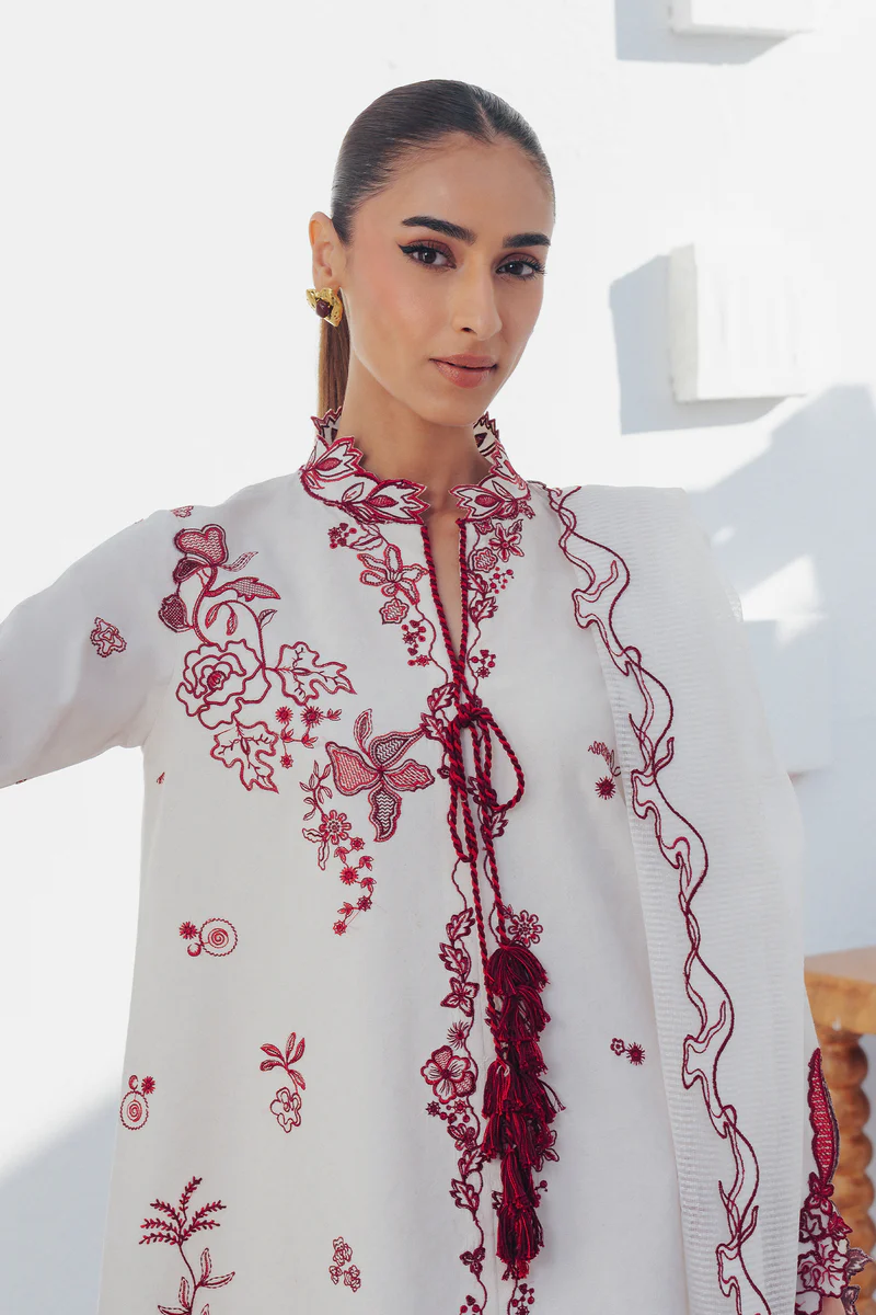 QBP-01 ALBA - Image 9