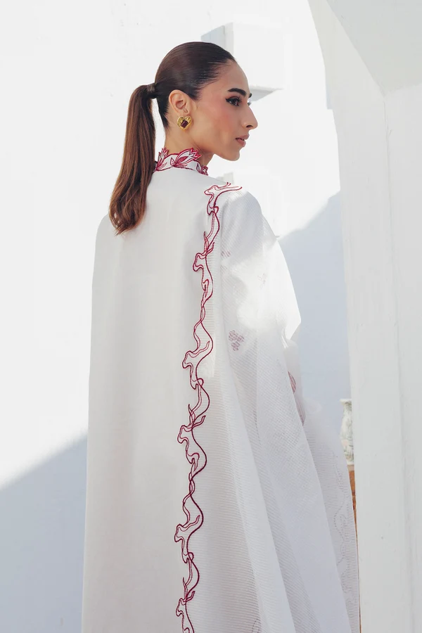 QBP-01 ALBA - Image 4
